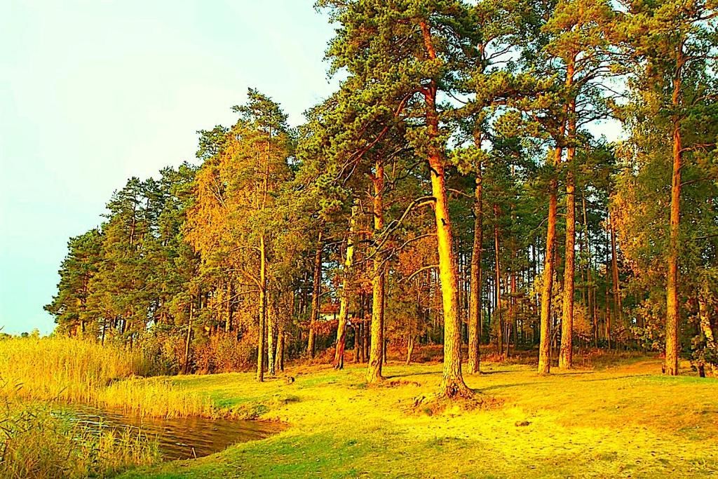 Дома для отпуска SAUNA+JACUZZI Townhouse near lake Личи